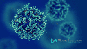 Vigene Biosciences Sees Growth Through a Commitment to Gene Therapy and Rare Diseases