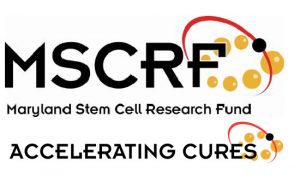 Maryland Stem Cell Research Commission Announces over $6 Million in Awards to Accelerate Cures