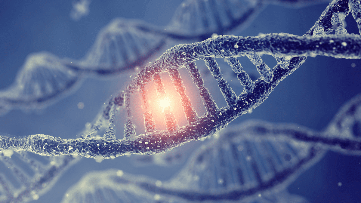 Stock image of DNA