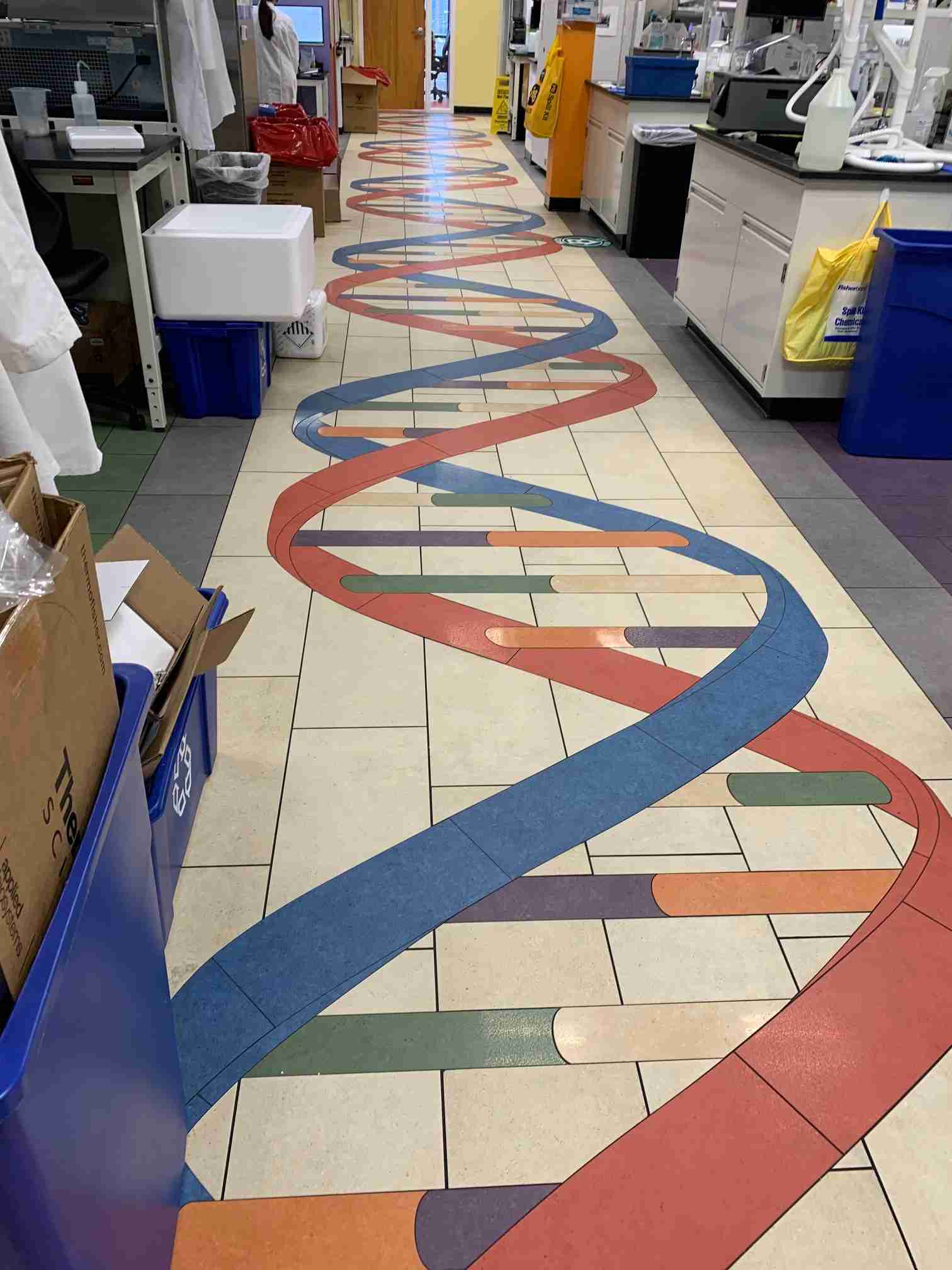 How Science and the Arts are Intermixing in the BioHealth Capital Region