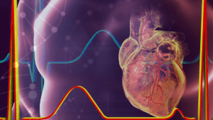 XyloCor Makes Significant Progress in Gene Therapy for Cardiovascular Disease