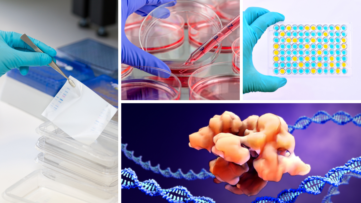 Meghan Kelly Joins CRB as Director of Business Development, Greater Philadelphia