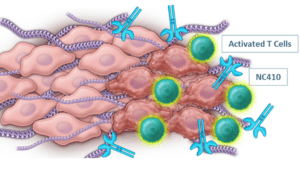 How NextCure Leverages the Unique Biology of LAIR to Treat Different Cancers