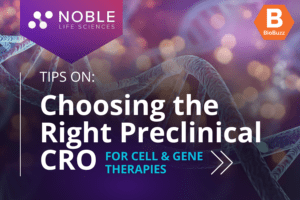 Choosing the Right Preclinical CRO for Cell and Gene Therapy Product Development: Tips from Noble Life Sciences