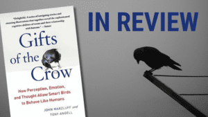July Read: Gifts of the Crow: How Perception, Emotion, and Thought Allow Smart Birds to Behave Like Humans
