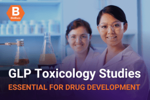 GLP Toxicology Studies: Essential for Drug Development