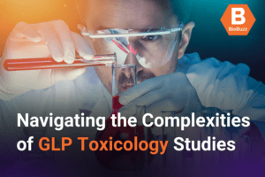 Navigating the Complexities of GLP Toxicology Studies for Biotech Companies