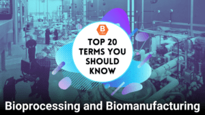 Bioprocessing and Biomanufacturing: Top 20 Terms You Should Know If You’re Just Starting Out