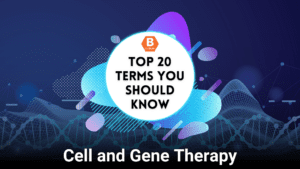 Cell and Gene Therapy: Top 20 Terms You Should Know If You’re Just Starting Out