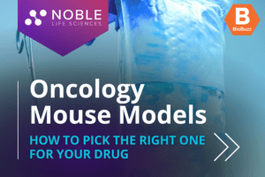 Oncology Mouse Models: How to Pick the Right Mouse Model for Your Oncology Drug Development Needs?