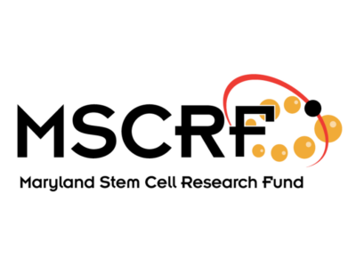 Here’s Who Received the Latest $4.7 million Maryland Stem Cell Grant Awards