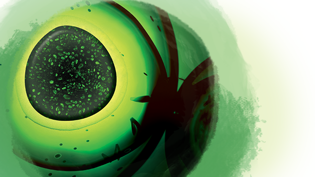 Governor Moore Announces New Stem Cell Facility and 500 Jobs in Baltimore City