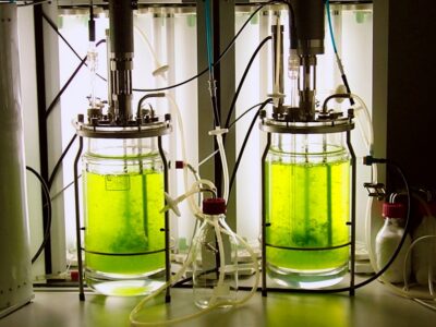 BrightWave Secures $1M TEDCO Award to Expand Maryland’s First Fully Integrated Algae Biomanufacturing Facility