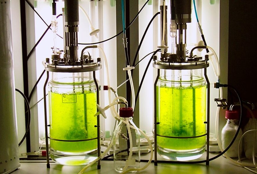 BrightWave Secures $1M TEDCO Award to Expand Maryland’s First Fully Integrated Algae Biomanufacturing Facility
