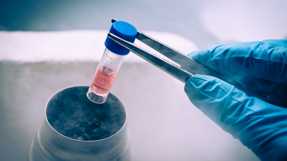 Maryland Stem Cell Research Commission Awards More Than $12.6M to Advance Regenerative Medicine Innovation