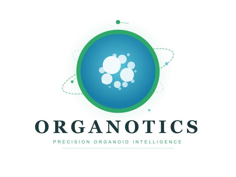 Organotics Launches to Advance Neurological Drug Discovery with Human Brain Organoids and AI