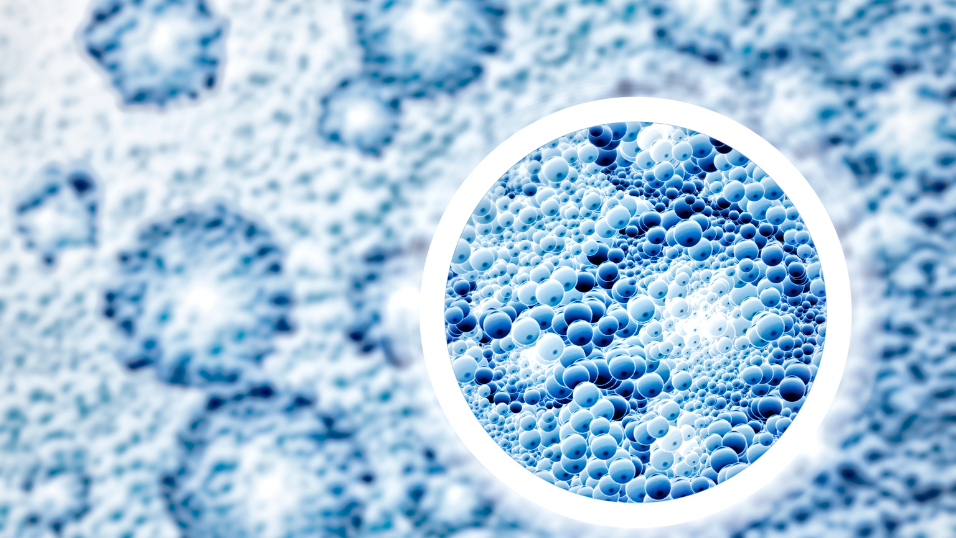 Nava Therapeutics Comes Out of Stealth With $89M and a Plan to Take Lipid Nanoparticles Where They’ve Never Gone