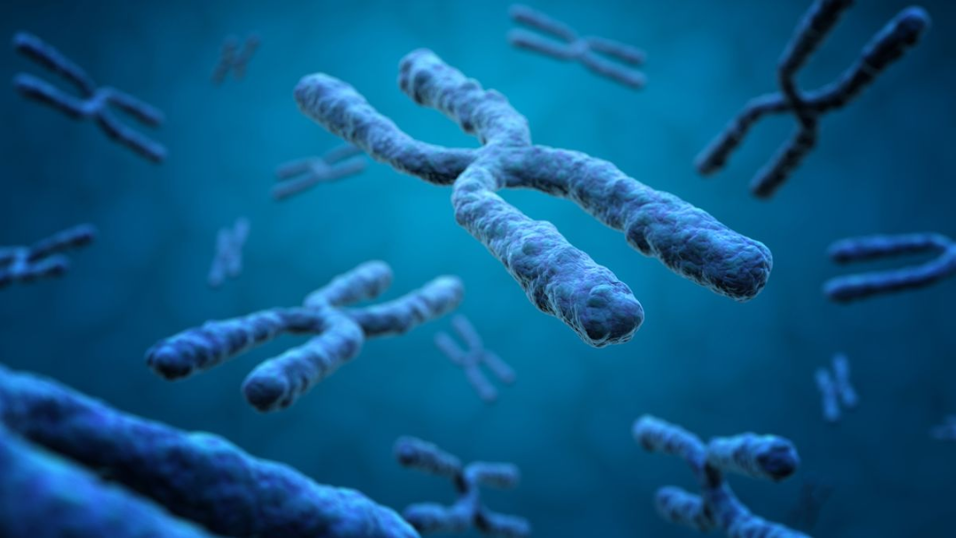 Synaptiq Therapeutics Launches with Acquisition of Clinical-Stage SYN-001 Program