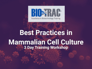 Best Practices in Mammalian Cell Culture
