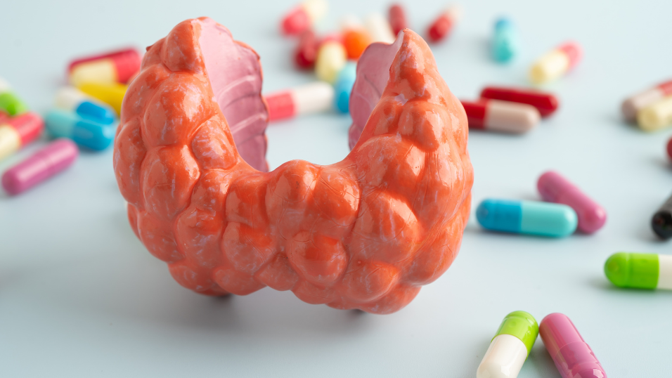 Rockville’s AbelZeta Reclaims Its CAR-T Lymphoma Drug From Janssen, Then Immediately Wins FDA Clearance to Test It