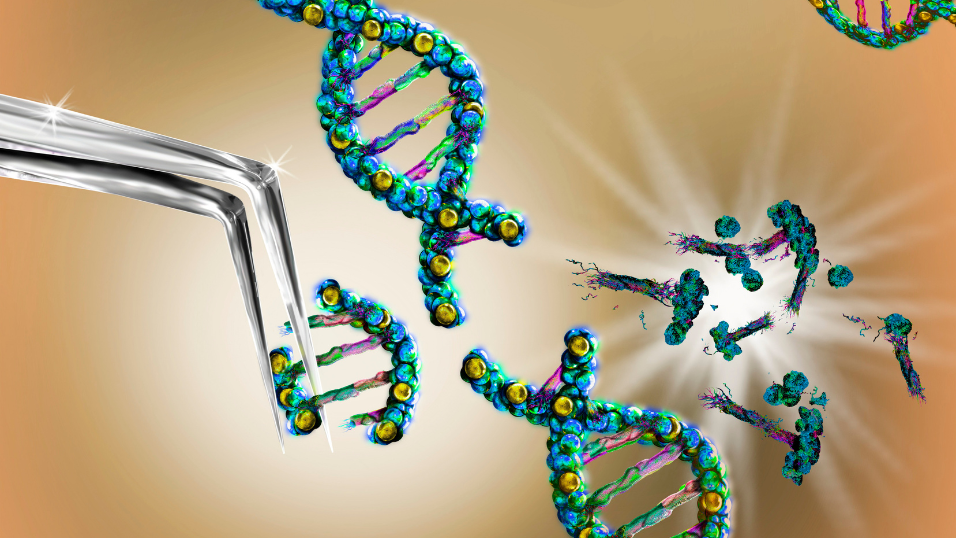 Rockville’s MaxCyte Launches Two New Assays to strengthen off-target assessment for genome editing therapies