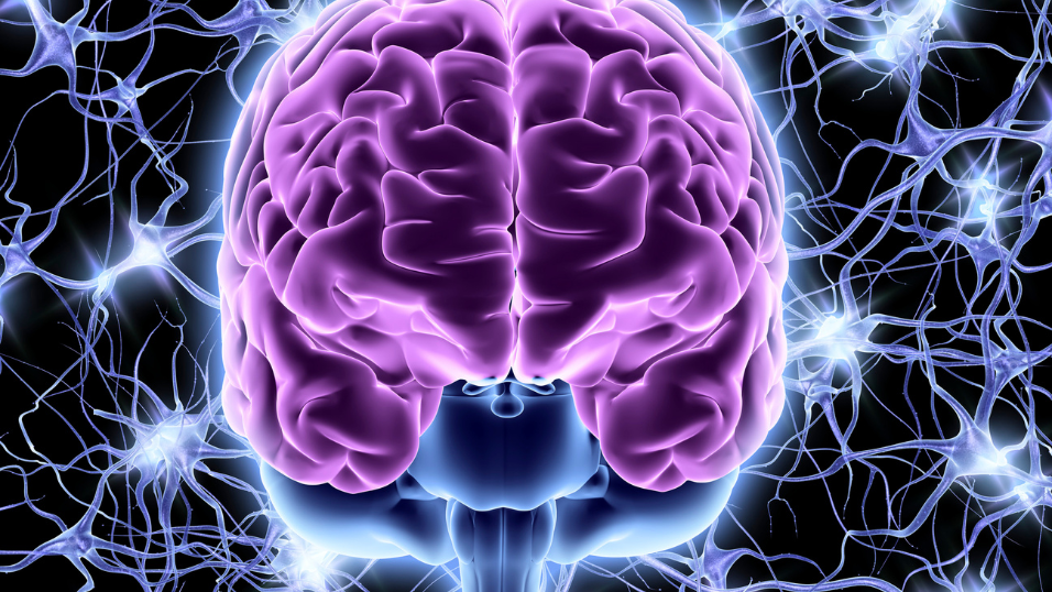 Rockville-Based Supernus and Indivior Agree to Merge, Creating a $2.2B CNS Powerhouse Headquartered in Maryland