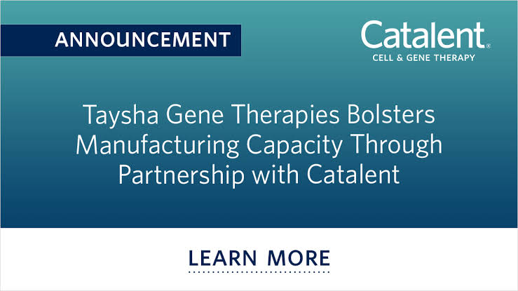 Catalent, Taysha extend AAV-based gene therapy partnership
