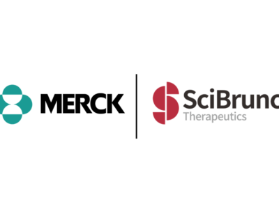 Merck Enters $2.13 Billion License Deal With SciBrunch for Preclinical KRAS G12D Inhibitor