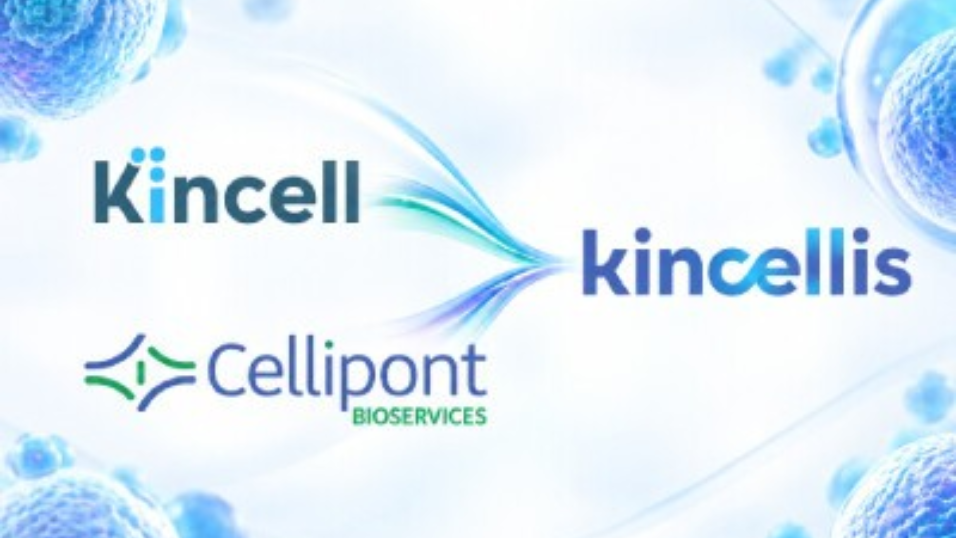 RTP’s Kincell Bio Merges with Cellipont Bioservices to Form Kincellis Advanced Therapies