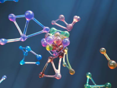 NC State Lands $3.3 Million NIH Grant to Map the Molecular Timing Behind Early Pregnancy