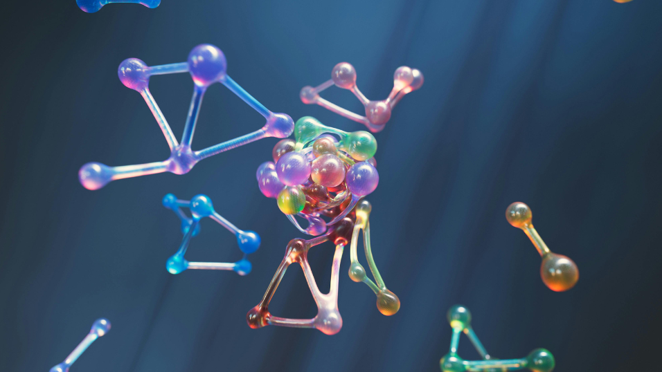 NC State Lands $3.3 Million NIH Grant to Map the Molecular Timing Behind Early Pregnancy