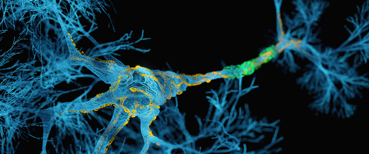 Penn and Miami Launch $26 Million NIH Study to Detect ALS and FTD Before Symptoms Appear