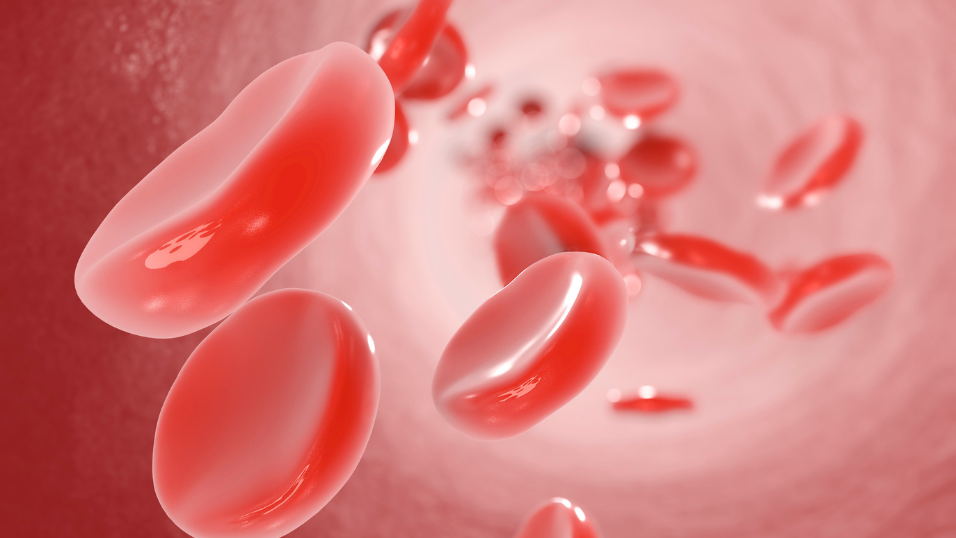 Philadelphia’s Senticell Closes Nearly $7 Million Seed Round to Advance RBC-Based Cancer Diagnostics