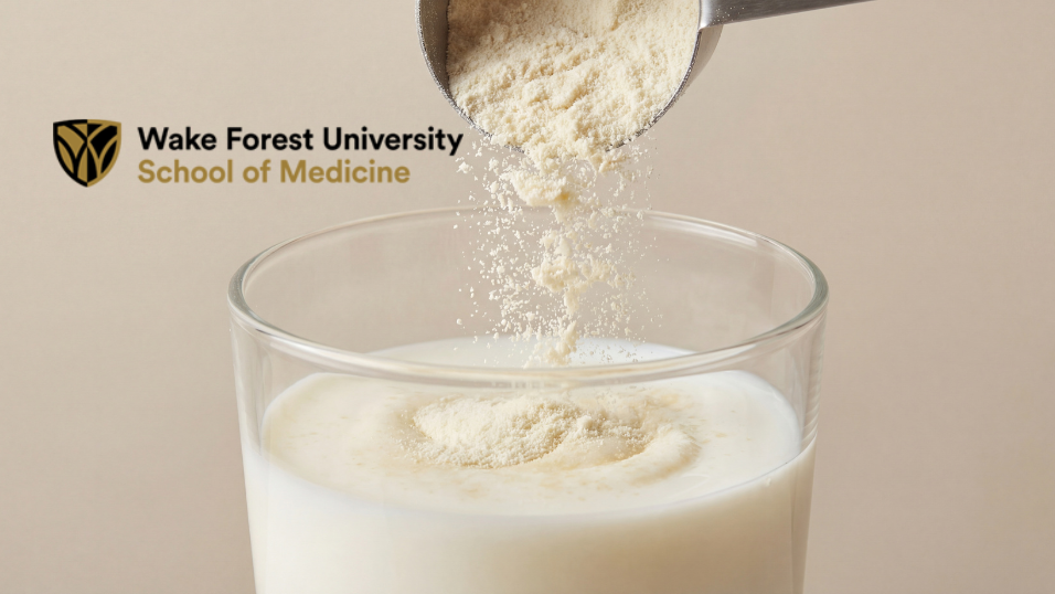 Wake Forest Researchers Identify a Protein That Helps Aggressive Breast Cancer Spread to the Brain